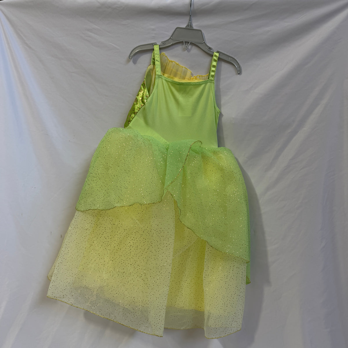 Disney Tiana Dress Costume Back