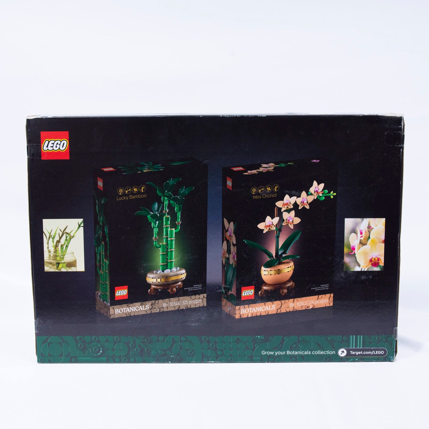 Lego Botanicals Evergreen Collector's Set Box Back