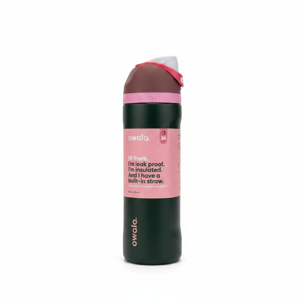 Owala 24oz Water Bottle Frost Fairy