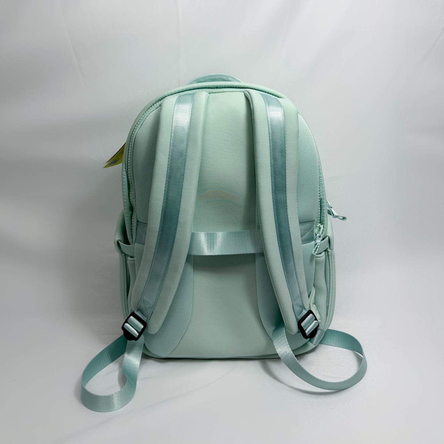 All-in-Motion Mint Backpack 20L Back