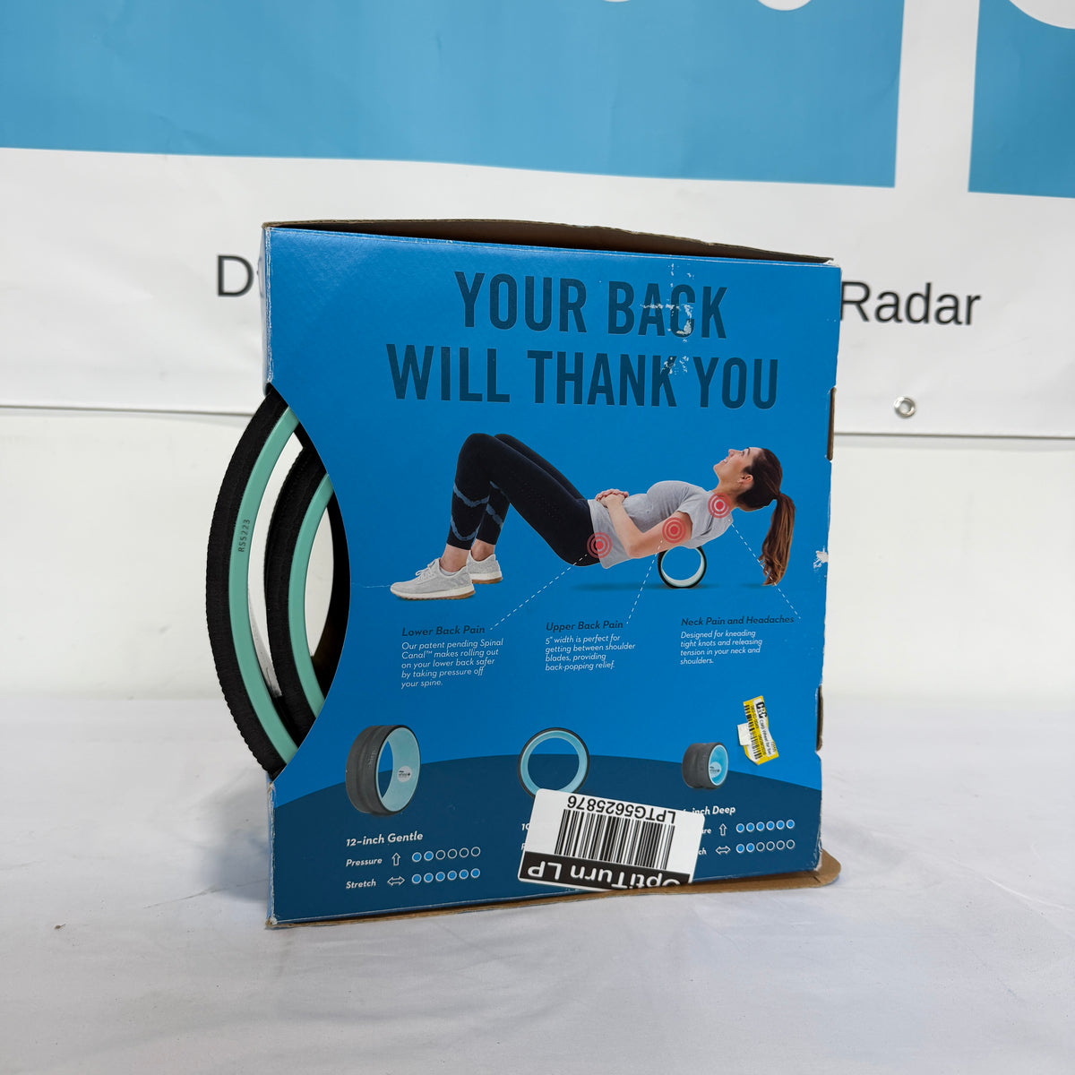 Chirp Wheel Neck and Back Roller Box Back
