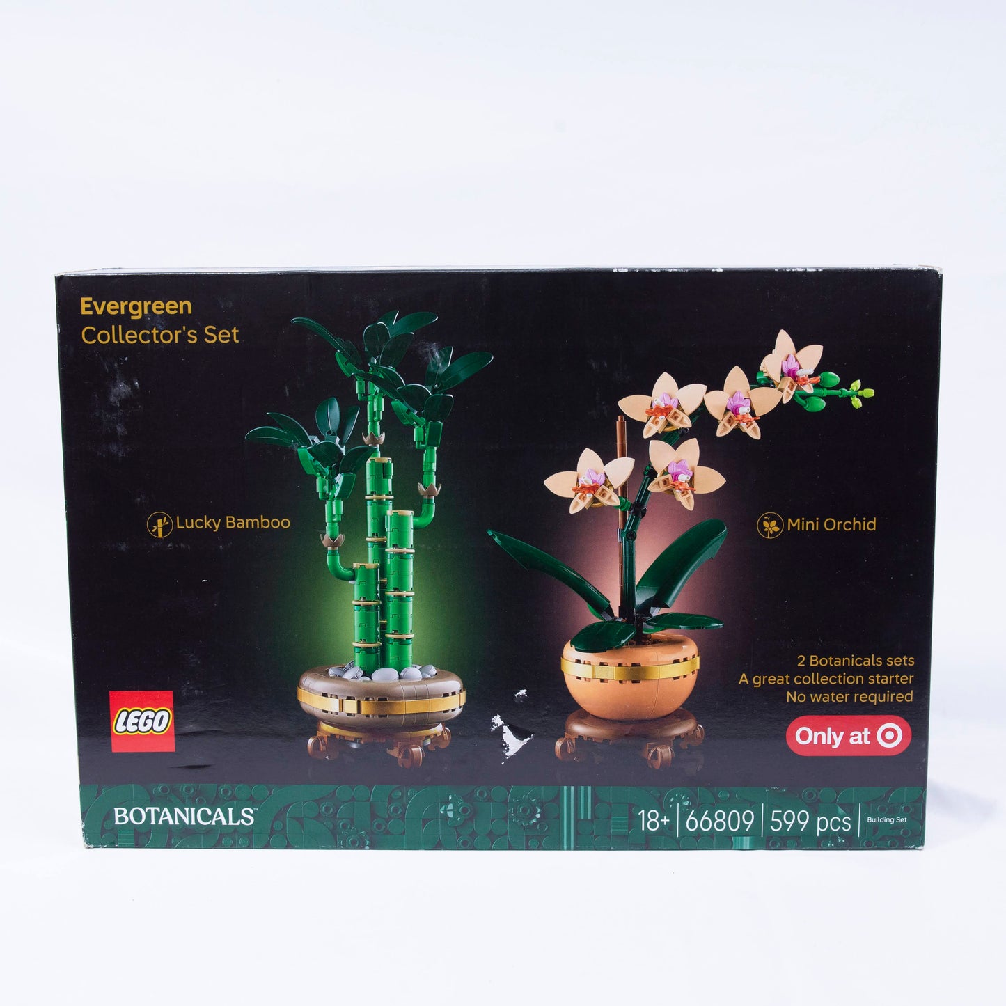 Lego Botanicals Evergreen Collector's Set Box Front