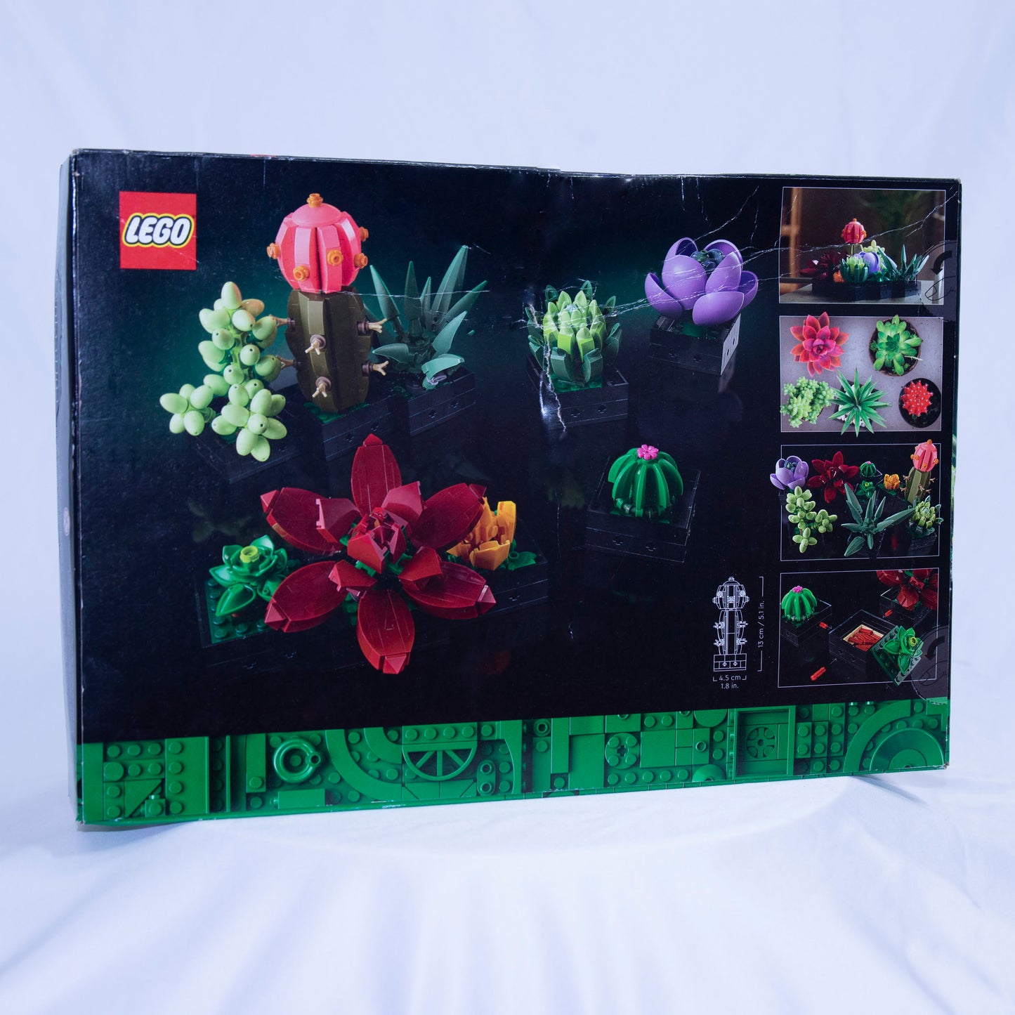 LEGO Botanical Collection Succulents Box back