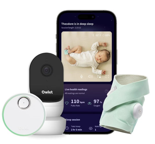 Owlet Dream Duo 2