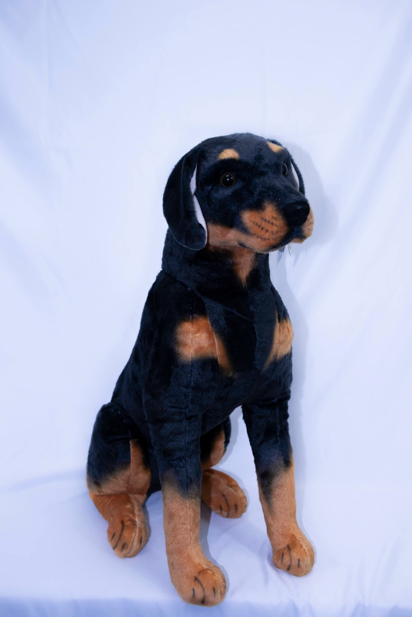 Robbie The Rottweiler Animal Plush side