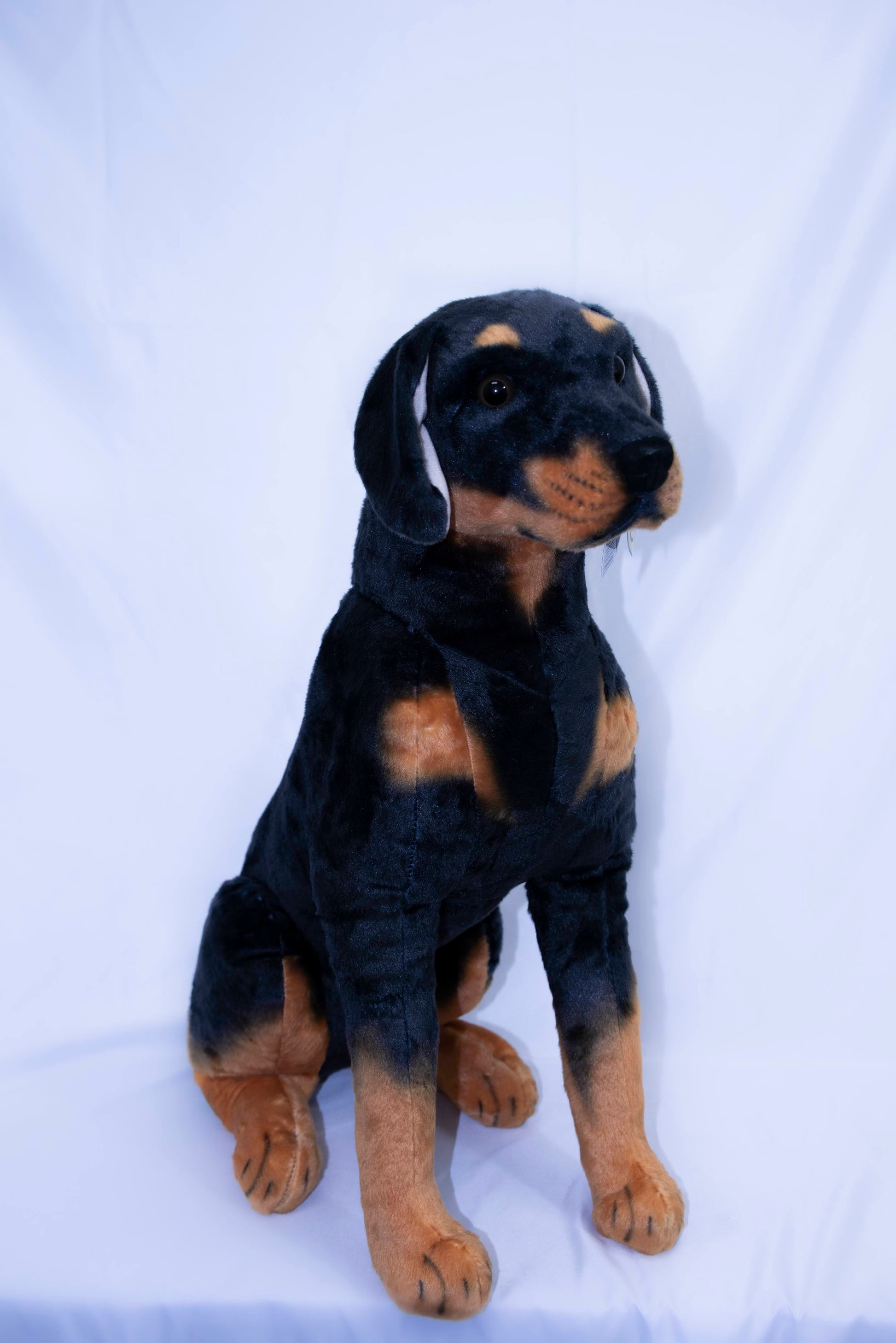 Robbie The Rottweiler Animal Plush side