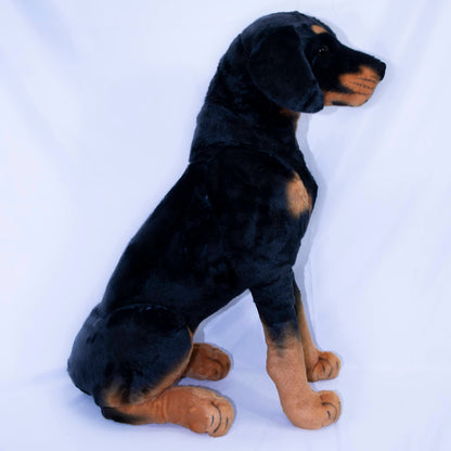 Robbie The Rottweiler Animal Side 2